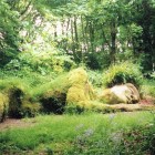 The Lost Gardens of Heligan 158 140x140 The Lost Gardens of Heligan