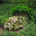 The Lost Gardens of Heligan 335 140x140 The Lost Gardens of Heligan