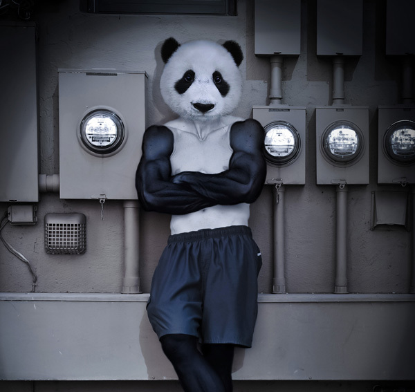 5d512b4b971f7f2ae938c1d8bc348bac Panda Bodybuilder