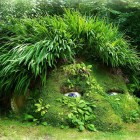 The Lost Gardens of Heligan 717 140x140 The Lost Gardens of Heligan