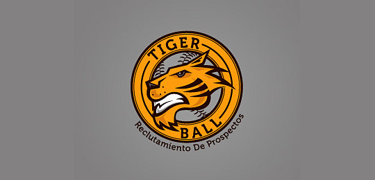 c2b Cats Logo – from Pussycats to Lions