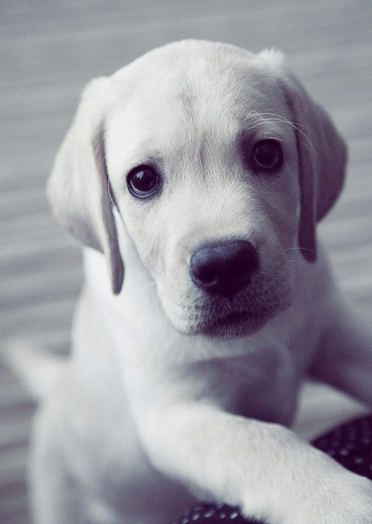 Digital art selected for the Daily Inspiration #765