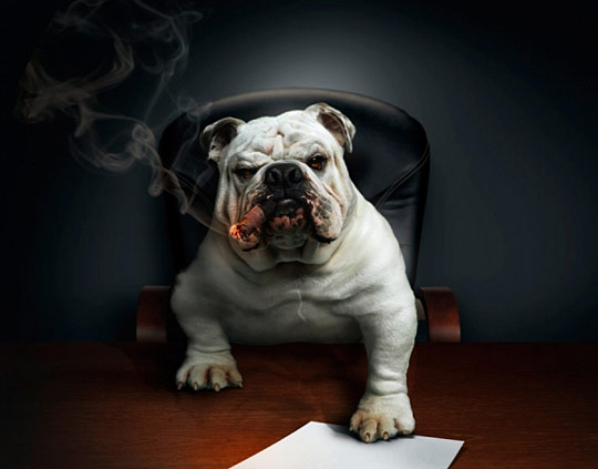 Daily Inspirations no. 137 di137a Daily Inspirations no. 137