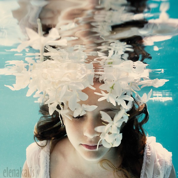 download 11 600x600 pic on Design You Trust download 11 600x600 the Design Cove | Design Cove: 21 Underwater Photos by Elena Kalis