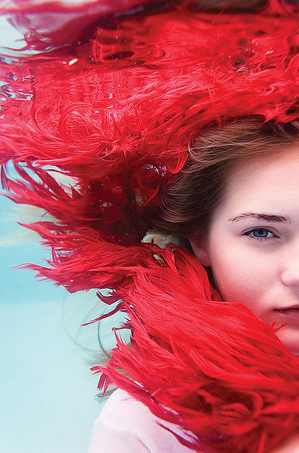  the Design Cove  |  Design Cove: 21 Underwater Photos by Elena Kalis