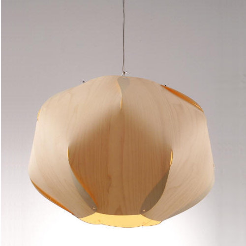 evo Evolute Suspension Light