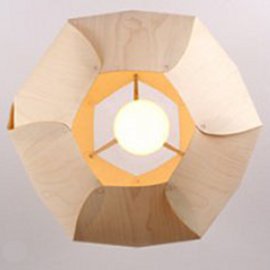 evo2 Evolute Suspension Light
