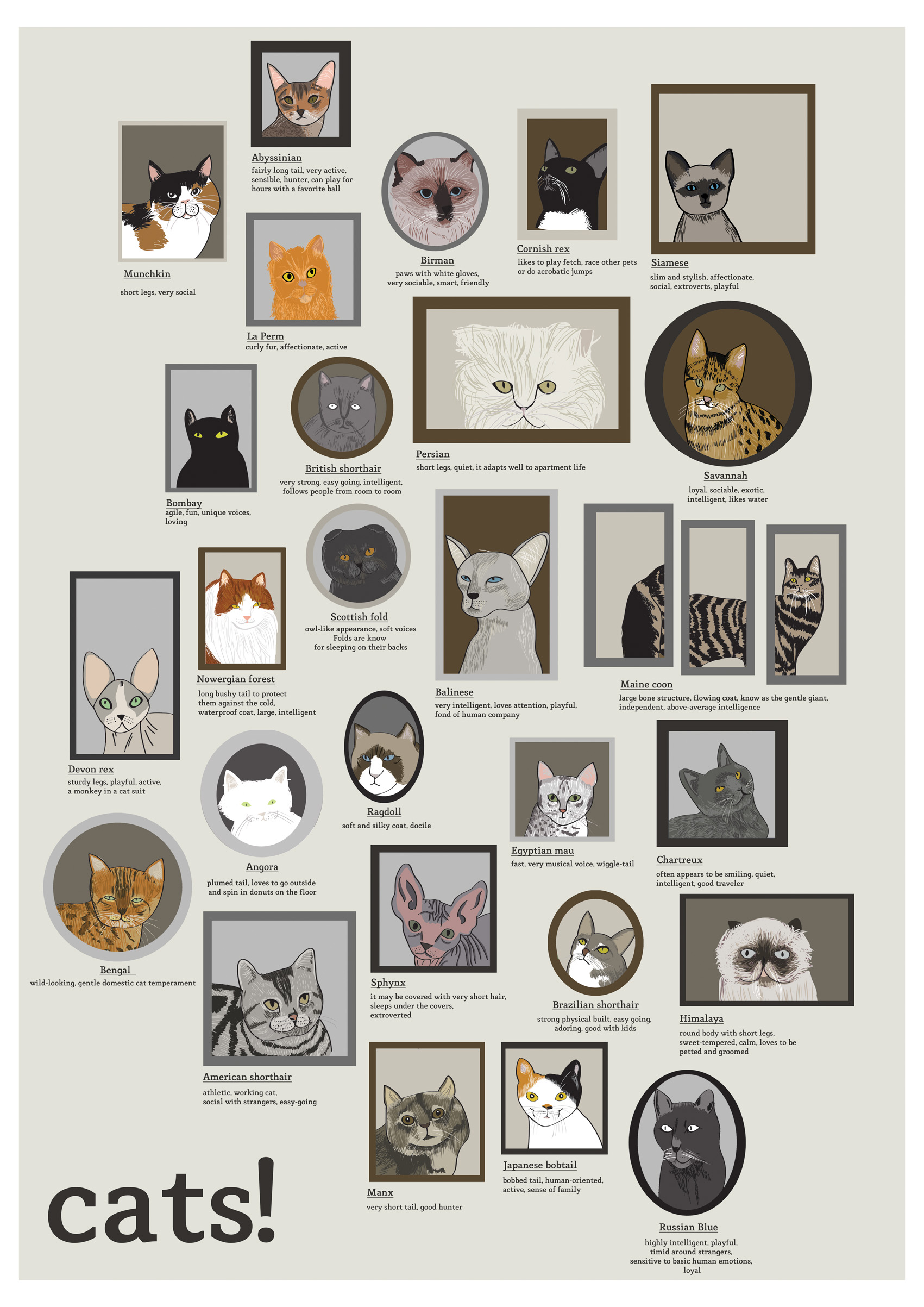 gatos low pic on Design You Trust gatos low print: cats!