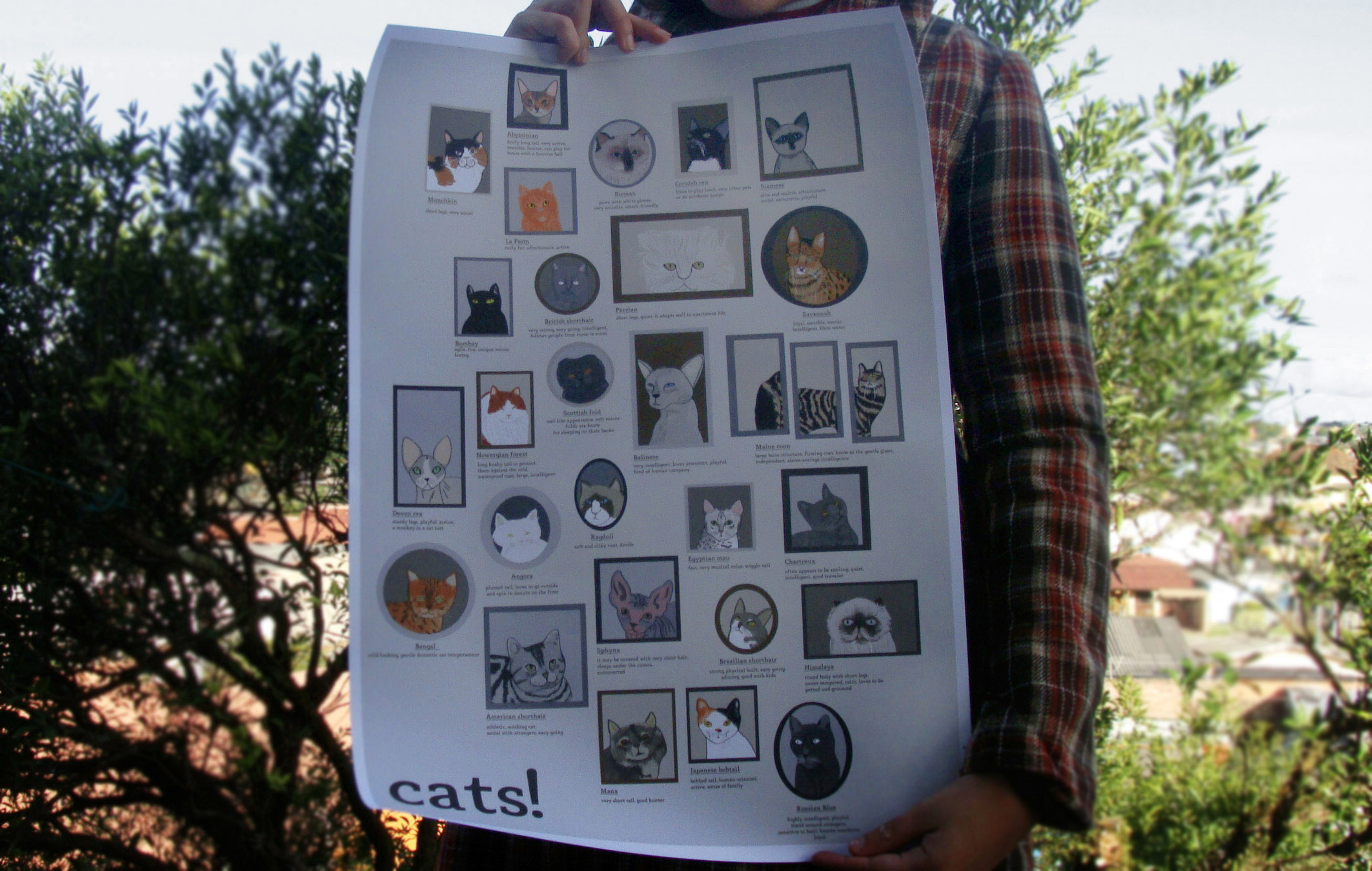 gatsss copy pic on Design You Trust gatsss copy print: cats!
