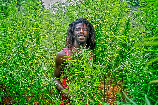 ja1c Jamaica – Out of Many, One People