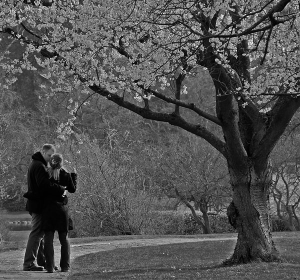 l2b In the Mood for Love