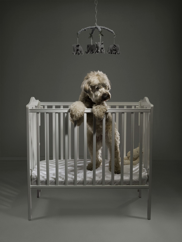 Digital art selected for the Daily Inspiration #768