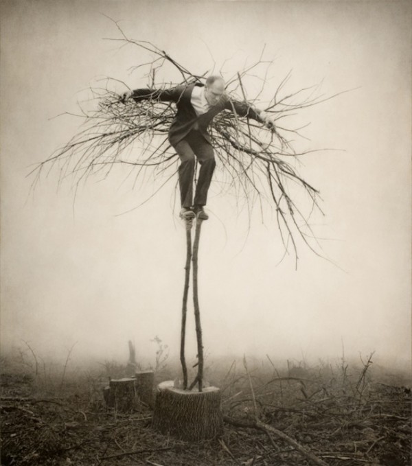 parkeharrison2 1 600x679 Masters of Surreal Storytelling