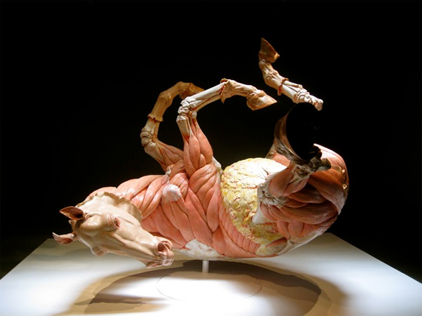 424 pic on Design You Trust 424 Modern Artists of China