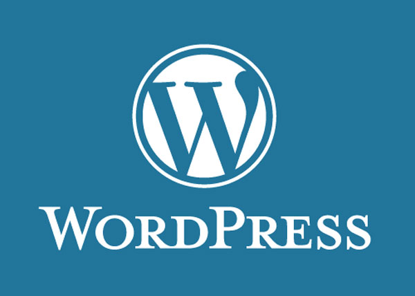The Ultimate WordPress Cheatsheet ! DYT logo wordpress The Ultimate WordPress Cheatsheet !