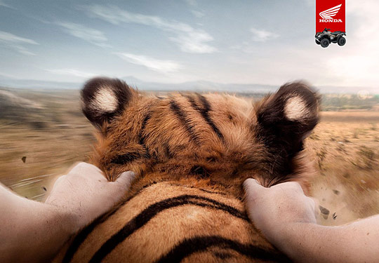 di152a Daily Inspirations no. 152