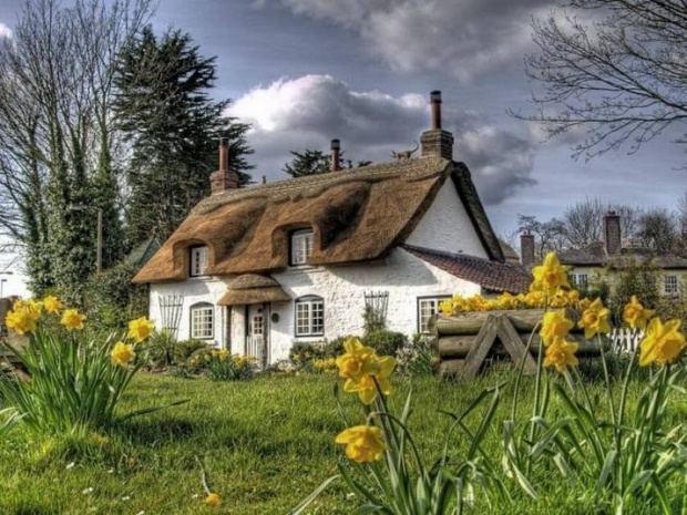 bucolic Hardyesque cottage