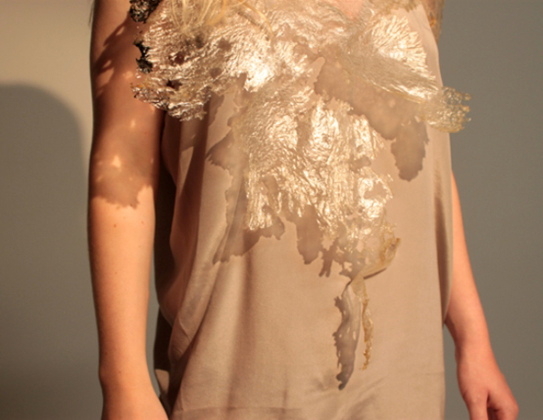 017  Emily Cranes edible fashion: micro nutrient couture