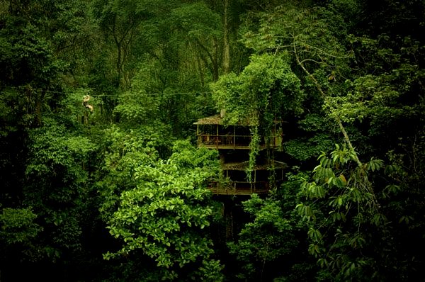 Jungle Costa Rica 1 Extreme Travel: 6 Frontiers for the Fearless Adventurer