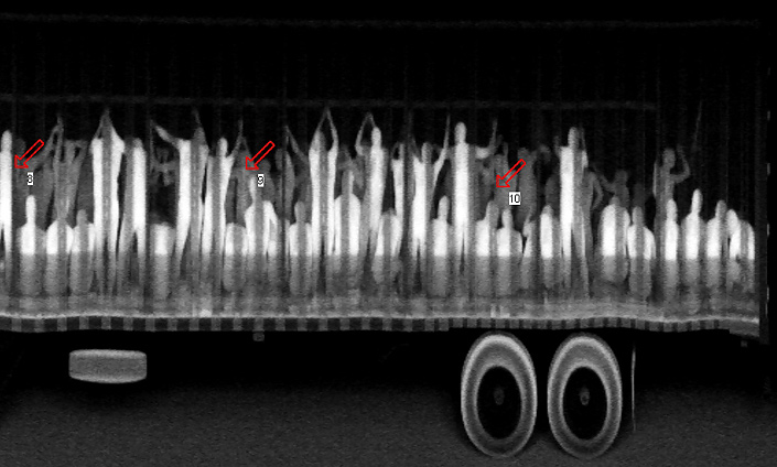 X Rayed Illegal Immigrants RTR2MKZS X Rayed Illegal Immigrants