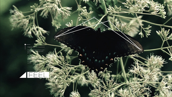 Video Inspiration 1 Video Inspiration #18