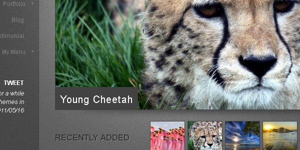 fotofolio landscape tmj04avu9u pic on Design You Trust fotofolio landscape tmj04avu9u 15 Free Photography Website Templates