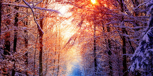 winter desktop wallpaper. hd winter sunset wallpaper