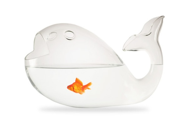 img giona aquarium fish bowl fish bowl