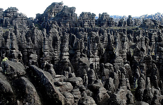 tm1c pic on Design You Trust tm1c Portraits of the Lost World – Table Mountains of Venezuela