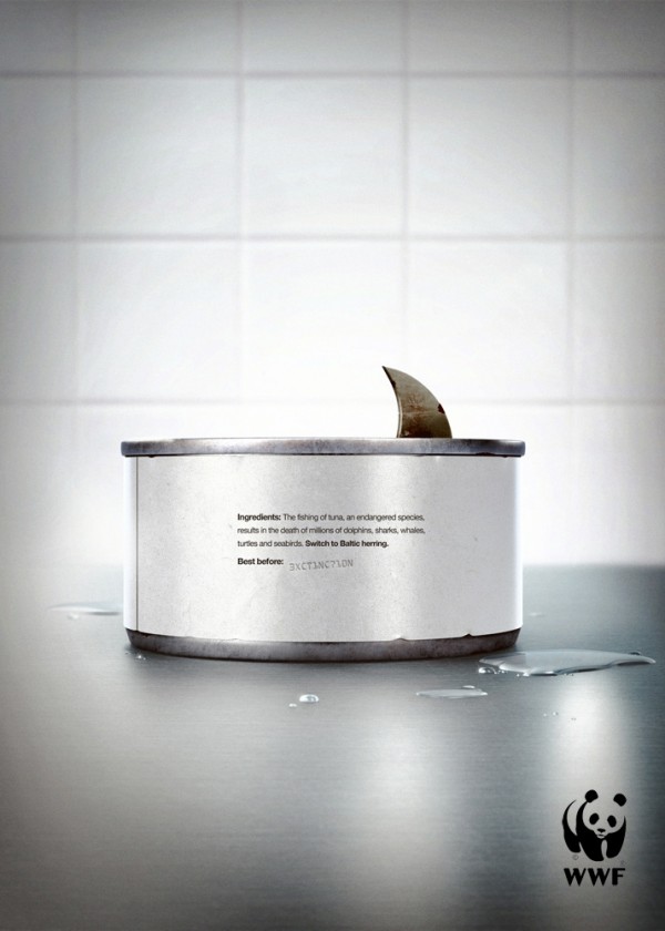 wwf requin boite environnement 600x840 pic on Design You Trust wwf requin boite environnement 600x840 70 ads for WWF