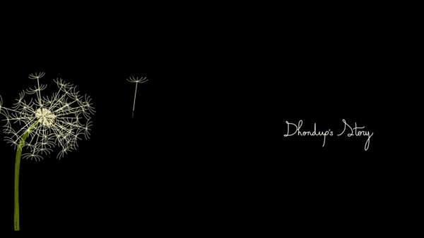 12 Leo Burnett campaign   Voices for Freedom