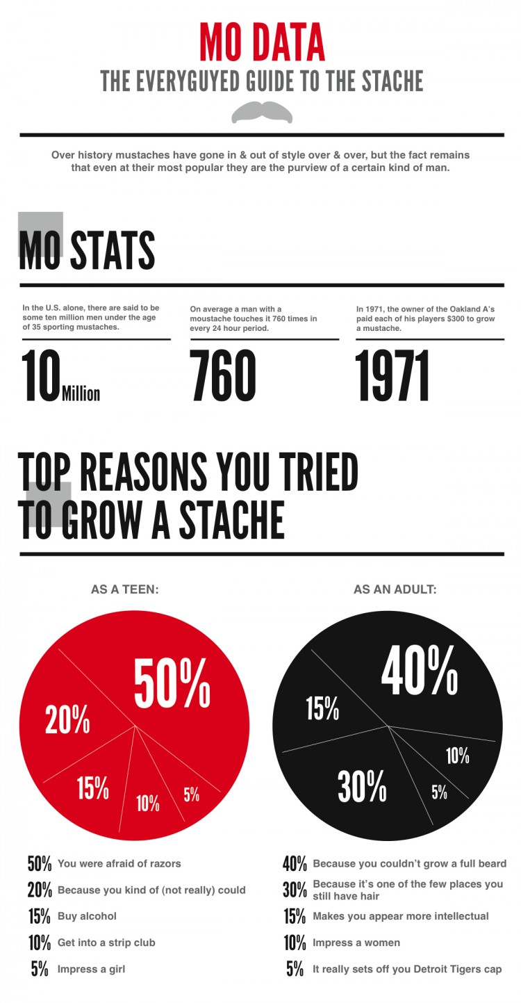 MoData half 750x1443 Mo Data: The EveryGuyed Guide to the Stache