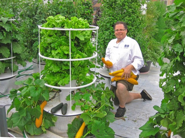 Vertical Hydroponic Gardening 2 Independent by Design: 6 Systems for Self Sufficient Living at Home