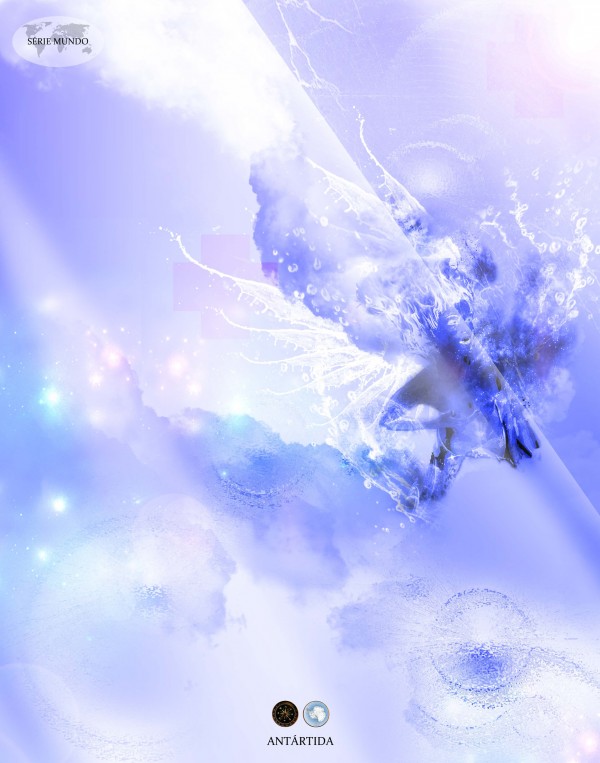 antartida net 600x763 Studio Smash