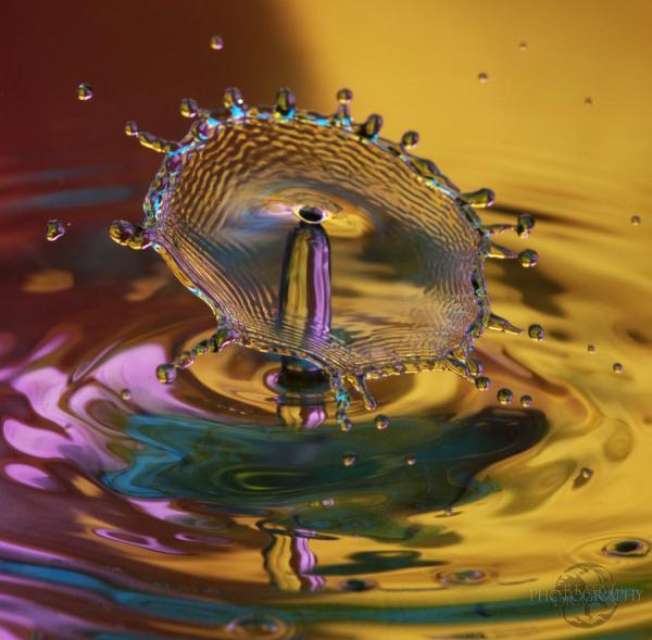 c1 m3vjhail4 pic on Design You Trust c1 m3vjhail4 Fantastic Water Drops Photography
