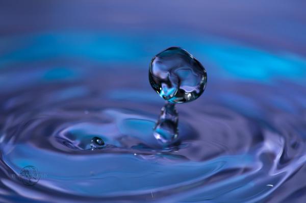 c21 0u69q68tg pic on Design You Trust c21 0u69q68tg Fantastic Water Drops Photography