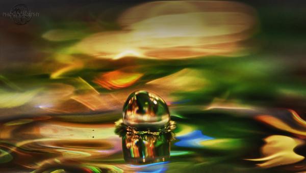 c2c aridyu0yp8 pic on Design You Trust c2c aridyu0yp8 Fantastic Water Drops Photography