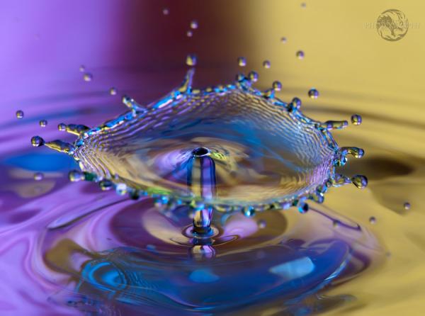 c2v pndubr4u0 pic on Design You Trust c2v pndubr4u0 Fantastic Water Drops Photography
