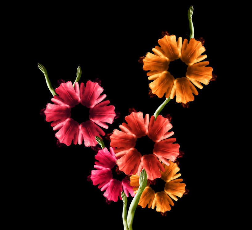cw4b Human flowers by Cecelia Webber