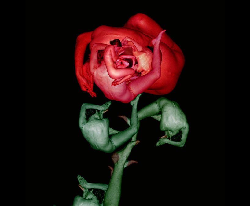 cw4d Human flowers by Cecelia Webber