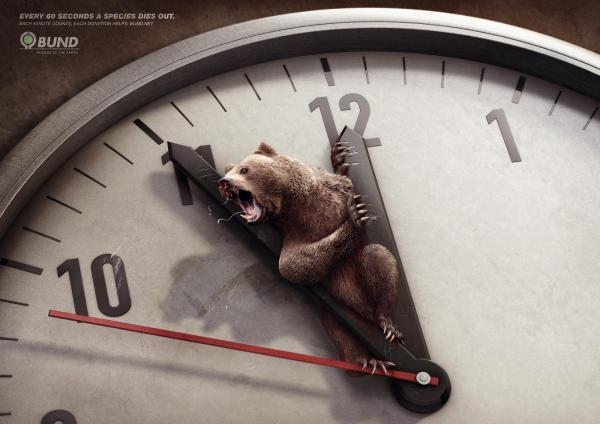 130 winners ads in Cannes Lions 2011 environnement ours cannes lions 2011 gold 130 winners ads in Cannes Lions 2011