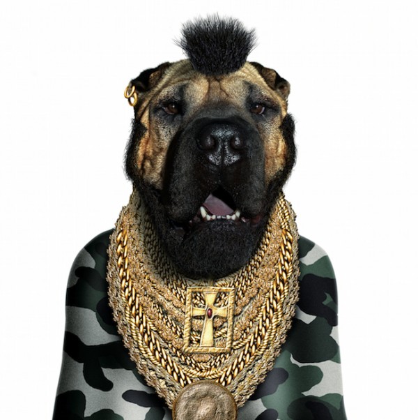 famousfaces2 600x602 pic on Design You Trust famousfaces2 600x602 Pets Impersonate Famous Celebrities