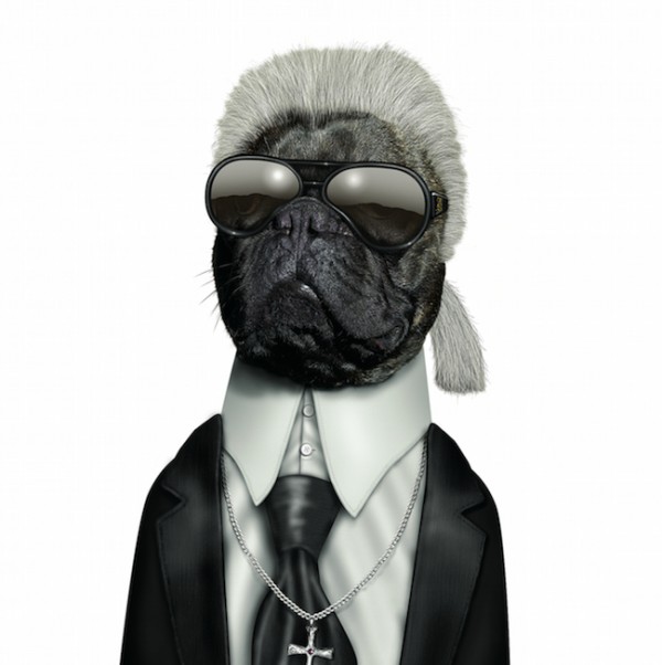 famousfaces7 600x602 pic on Design You Trust famousfaces7 600x602 Pets Impersonate Famous Celebrities