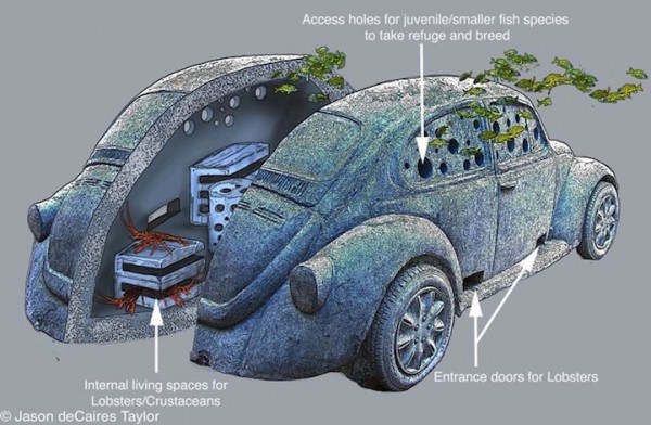 jasondecairestaylor10 600x392 Life Size VW Beetle Becomes a Reef