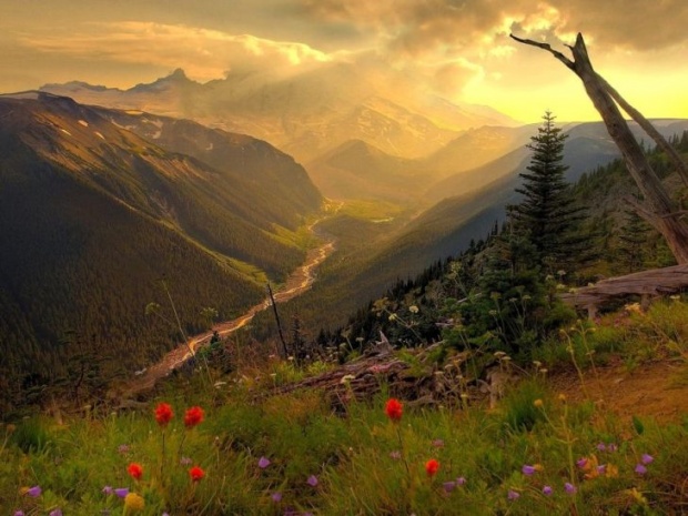 lp3a pic on Design You Trust lp3a Inspiring Landscapes Photography
