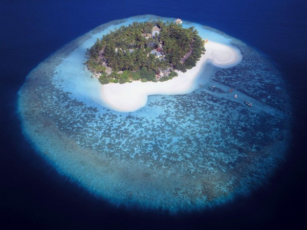 Amazing Maldives maldives047 600x450 Amazing Maldives