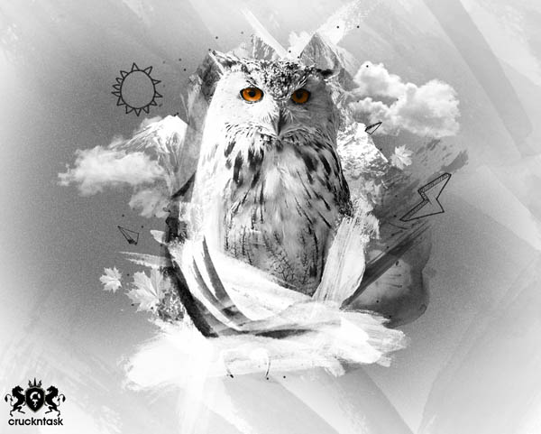 owl pic on Design You Trust owl Interesting Photo Manipulation Artworks