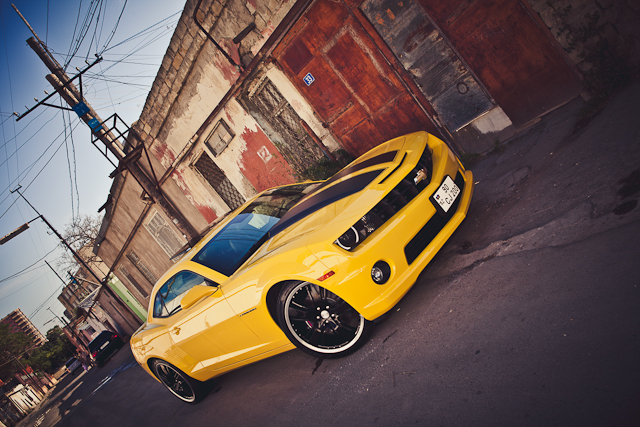 American Muscle photo by Ravan Baghirov 1 American Muscle