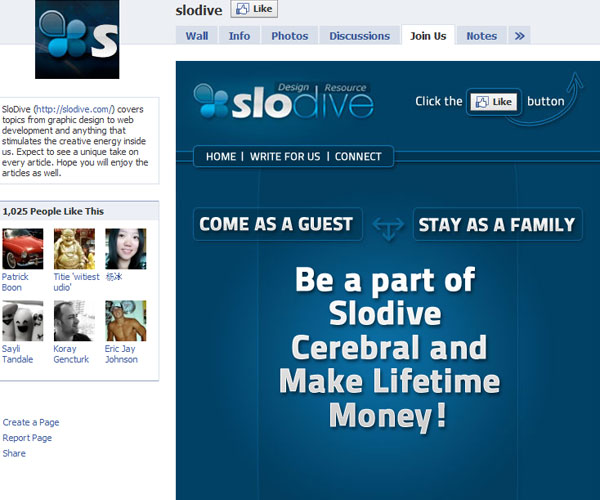 slodive nepe3t5xfg pic on Design You Trust slodive nepe3t5xfg 20 Top Well Designed Facebook Pages Design