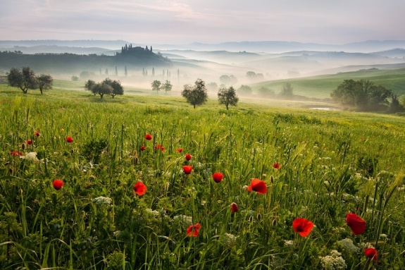 unnamed se42ef4g6p 10 Awesome Photographs to Inspire 